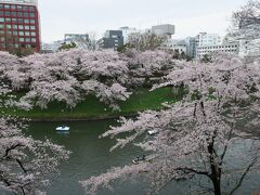 お濠の向こうの赤い建物はイタリア文化会館