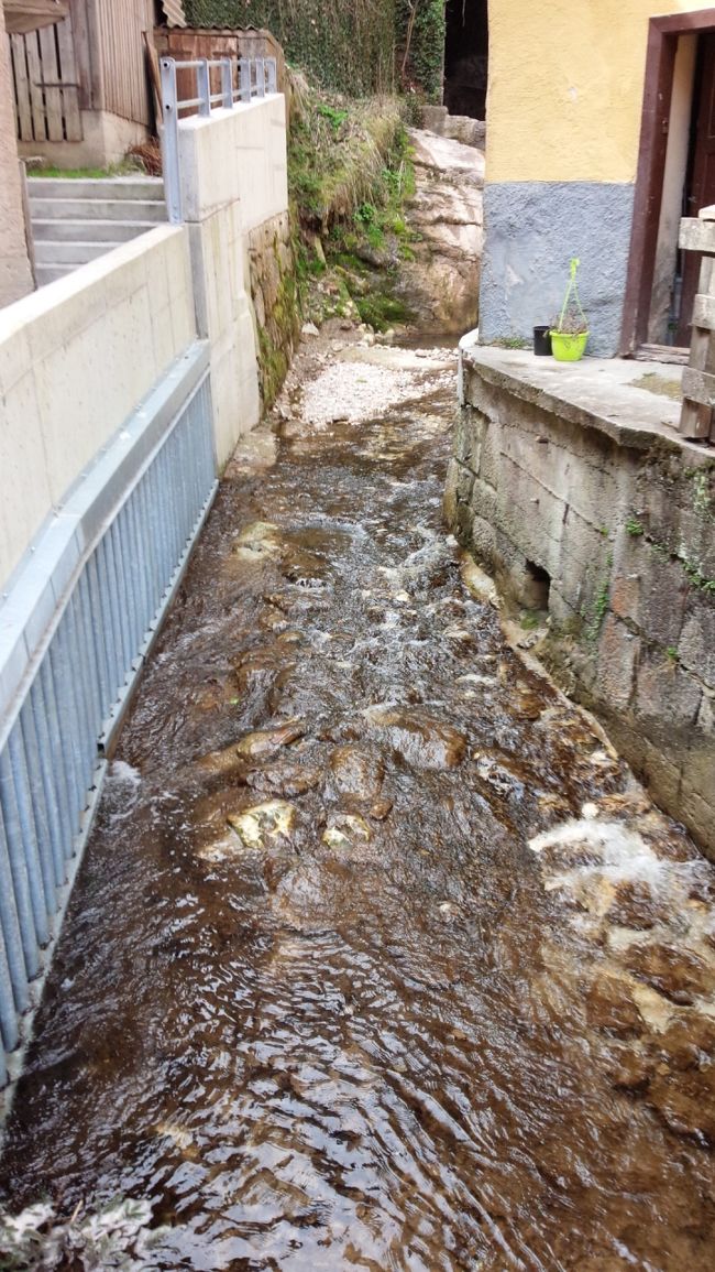 小川が流れている所を撮ったり。