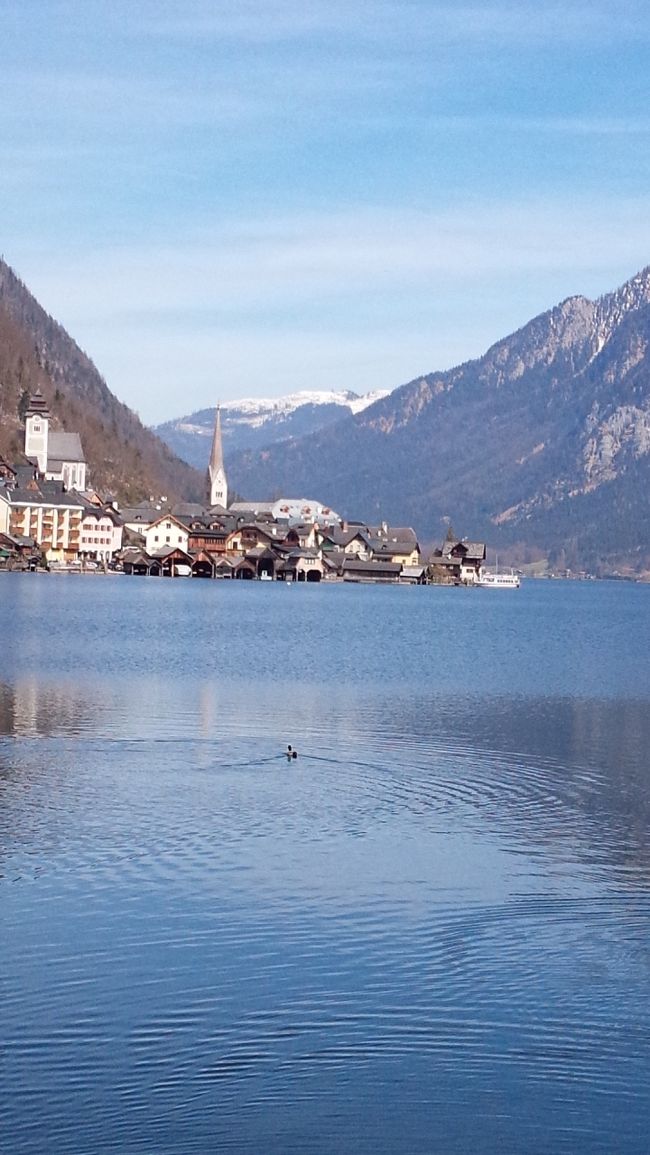 湖面をゆらす生き物と一緒に。