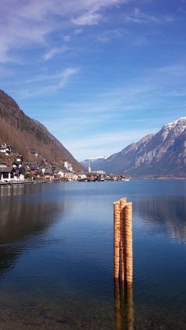 引いて撮りたいのですが、<br />撮るとどうしても、目の前の木が<br />邪魔なので、少しアップにして撮ります。