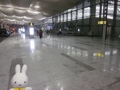 「何がグットジョブよ、ジョ〜ダンじゃないわよ！ちょっとしくじったらあたしたち木端微塵よ！こんなところで死にたくないわよ〜」と相方が何だか不機嫌(笑)？

まぁ無事に空港に着いたし、早速中に入りましょうよ(;^ω^)。