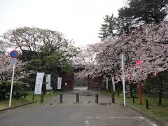 その後和歌山城へ。
平日で雨降りなので、人影もまばら。