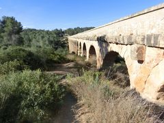 昔のヨーロッパはどの国もこのような水を引き入れる
大掛かりな設備があります。

ラスファレラス水道橋といいます。
バルセロナから100km前後です。

『水道橋、円形劇場などローマ時代の遺跡は、
2000年にタラゴナの考古遺跡群としてユネスコの世界遺産に登録された。』
ということです。