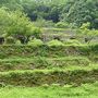 島根ゴールデンルート4泊5日　極上湯と島根の神話と歴史を巡る旅　その3石見銀山・小屋原温泉編