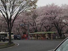 名古屋に着きました。
約束の時間まで二時間ほどあったので名古屋城に行きました。
目的地から近かったので時間のロスがなくてゆっくり見れました。