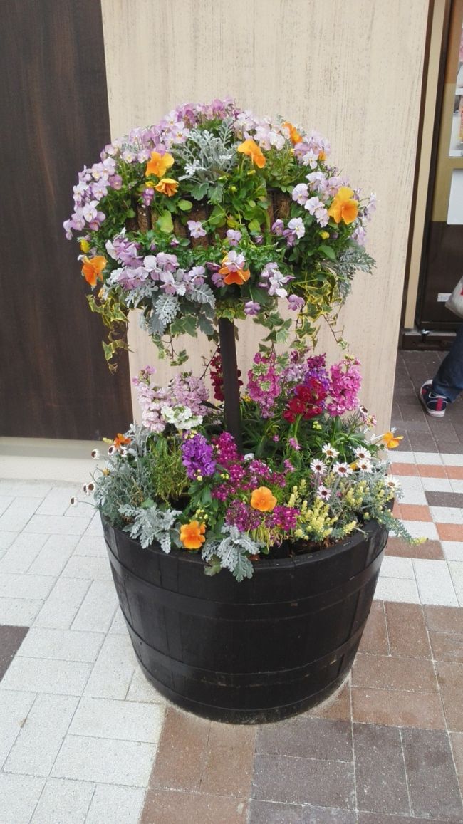 寄せ植えが美しかったのでパチリ