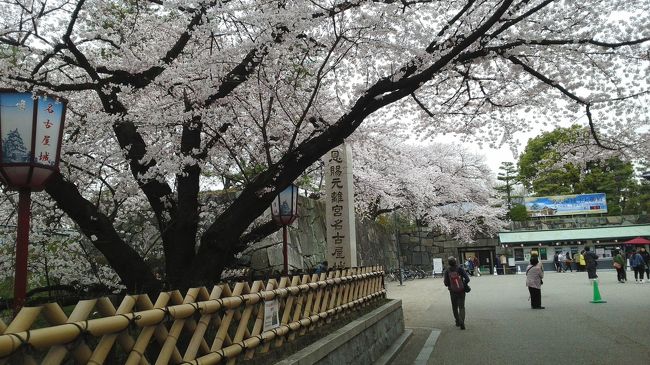 お堀を渡ってお城の中に