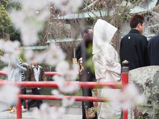 白無垢がお似合いですね