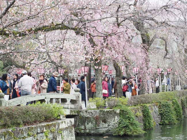 ここは拝観料は無料