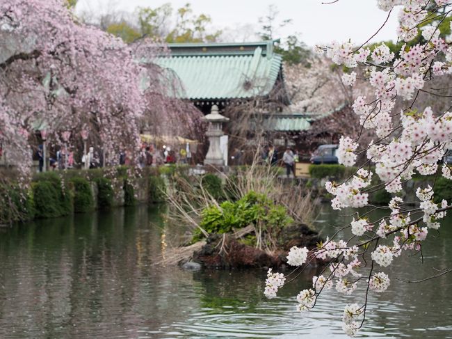 ありがたいですね