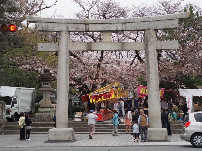 お天気はどんよりとした花曇り<br />とても青空なんて望めそうにありません。<br />まだ、雨が降らないだけましか・・<br />