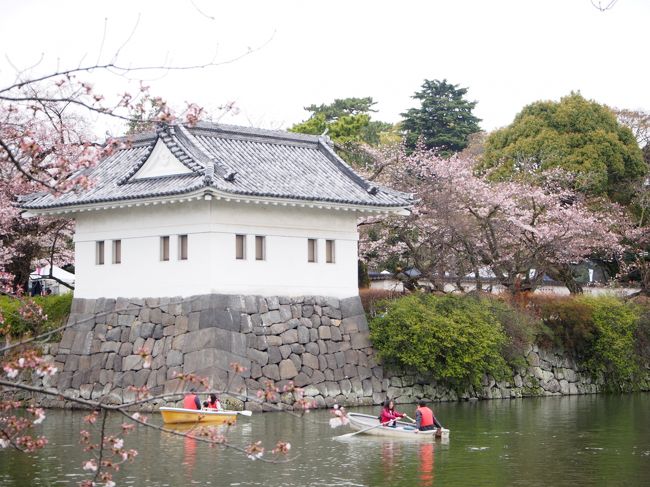 ボートから見る桜もいいものなんでしょうね