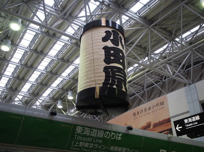 小田原にも寄りました。<br />立派な小田原ちょうちんだわ！