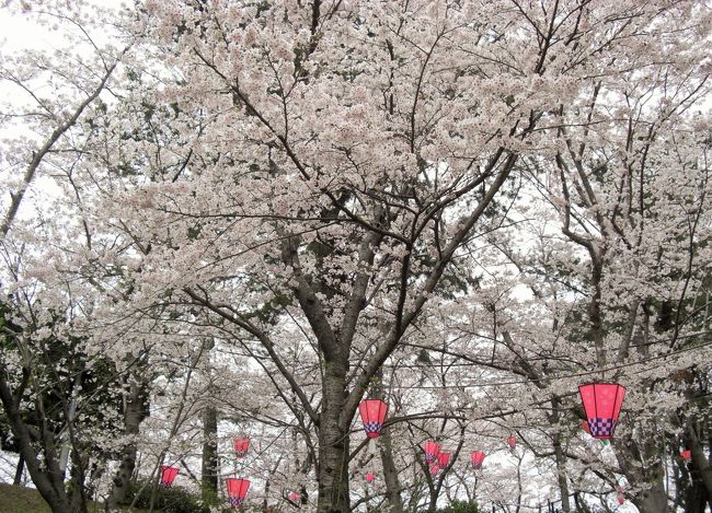 2016年 山口県・山陽小野田市 若山公園の桜と、住吉神社と笠井順