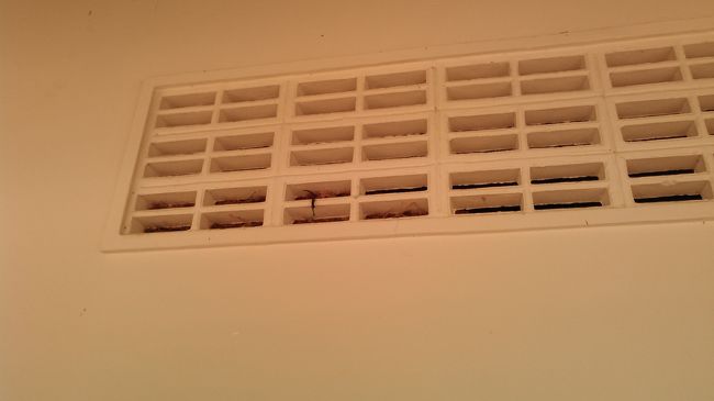 　プレアヴィヘア寺院は山の上にあるので、バスを降り、４ＷＤに乗り換えます。<br />鳥の高層マンション？発見