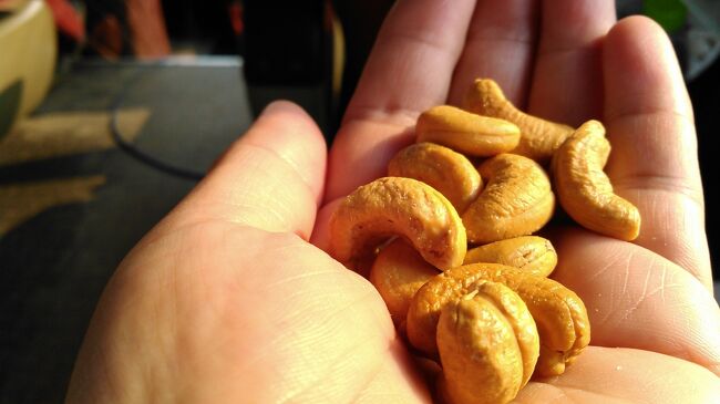 　ガイドさんに「お土産に如何？」と試食に配られたカシューナッツ。<br />食べてみて美味しかったので、購入。400ｇ８ドル<br />ドライマンゴーも配られて、こちらも購入。280ｇ８ドル<br />金銭感覚がはっきりしないけれど、多分安いのではと判断しました。