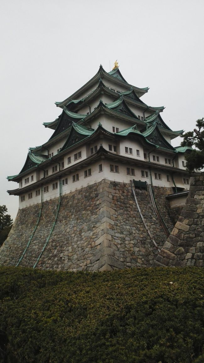 名古屋城を遠くで見ると小さく感じました。<br />私は、きっと高い所に建っているお城のイメージが強いからだと思います。<br /><br />しかし、名古屋城は平地に天守閣が建っているので<br />近くに来ると、その大きさが大変良くわかります。<br />しかしながら私のつたない腕では、大きさが撮れ撮れなくてお城に申し訳ないです。。