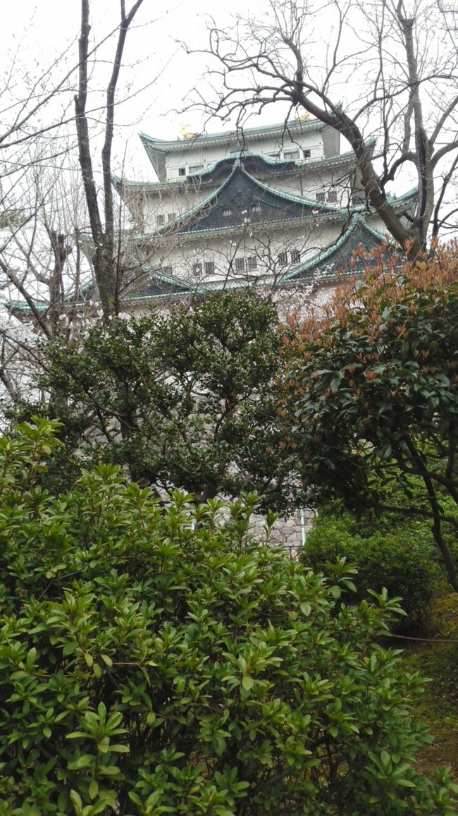 真正面に回って改めて大きさを感じます。