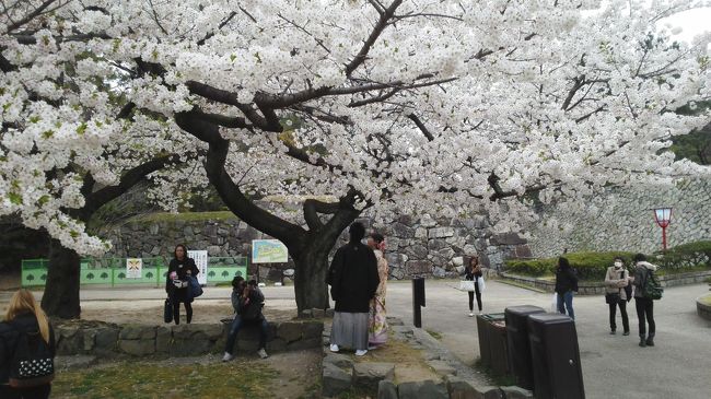 ここでも花婿花嫁の写真撮りをしていました。綺麗です。