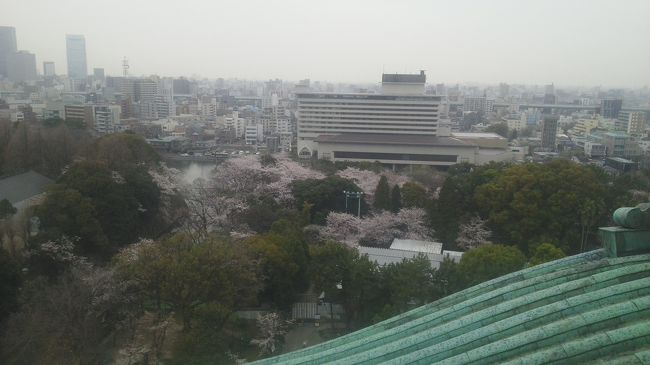 天守閣からの眺めです。<br />そろそろ雨が降り始めました。
