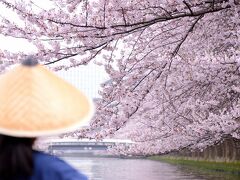 傘を冠った船頭さんと水面に張り出した桜枝。

風情！