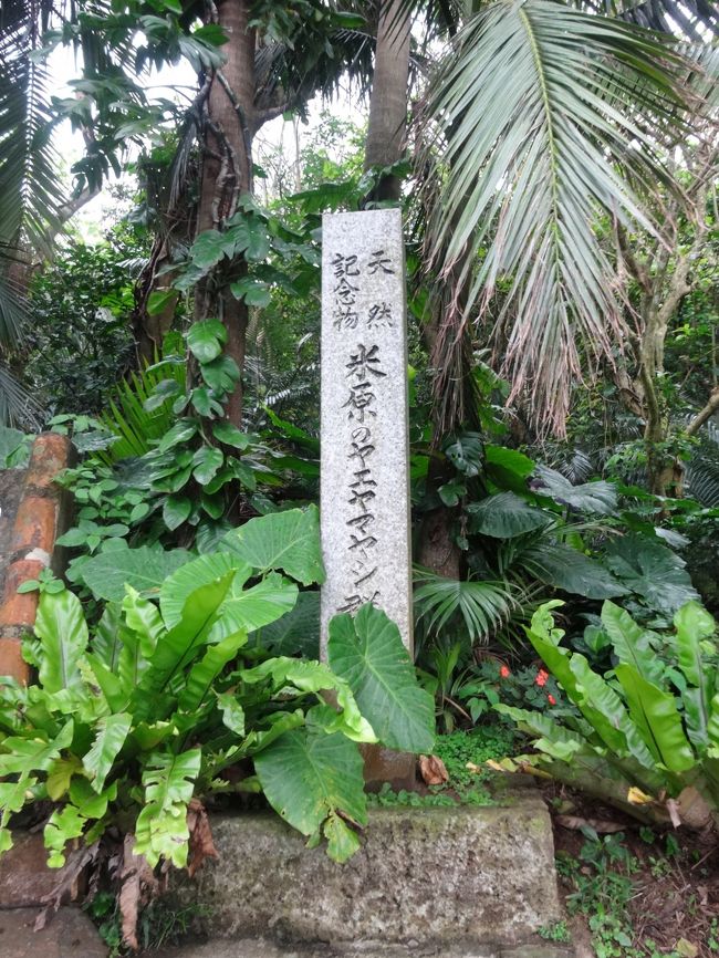 写真を撮った後で読む習慣ができました