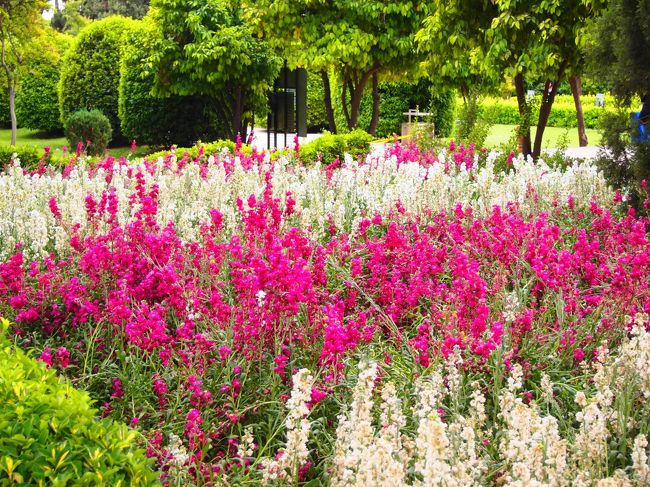 バラが特に有名なこの庭園。<br />5〜6月が見頃と言うから、そろそろシーズンのはずなのに全然バラないぞー。<br /><br />まあ、その他の花がそれなりに綺麗に咲いてはいる。<br />