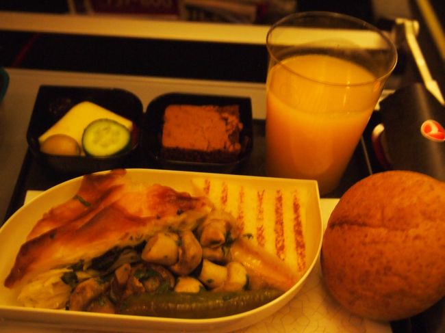 5月5日（火）旅8日目<br /><br />03:35発TKイスタンブール行き。<br />飛行時間が3:45しかないのに加え、朝ご飯もサーブされる為ほぼ寝られない。<br /><br />時差で1時間半戻り、50分ほどディレイの7:00にアタテュルク。<br />8時前にはメトロで街に向かう。