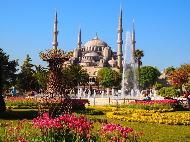 続いてブルーモスク前。<br />先週ここにいた母からフラワーカーペットが綺麗って聞いたから来てみた。<br /><br />ちょっと花のピーク過ぎちゃってるっぽい。。。