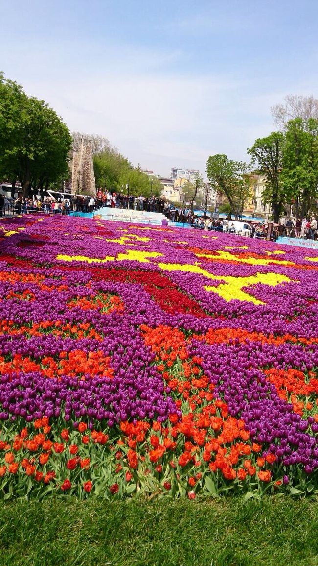 母の写真を拝借。<br /><br />アヤソフィアの中じゃなくて、やっぱりブルーモスクとアヤソフィアの間の広場らしい。<br />つまり、もう撤去されてた訳ね・・・。