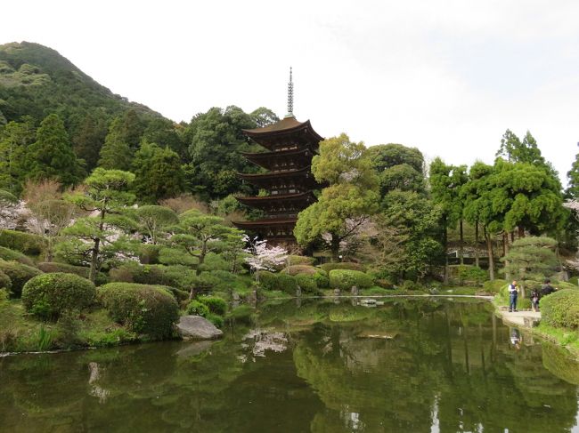 650x_43182830.jpg?updated_at=