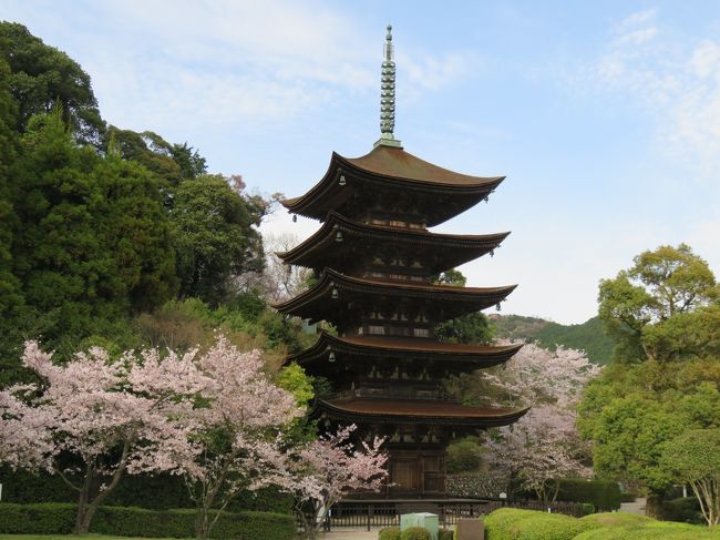 SP記念‼️お城✨お寺✨桜咲く✨瑠璃光寺✨五重の塔✨SPハイグレード、ジオラマ Visit MY Japan | There's something magical about seeing