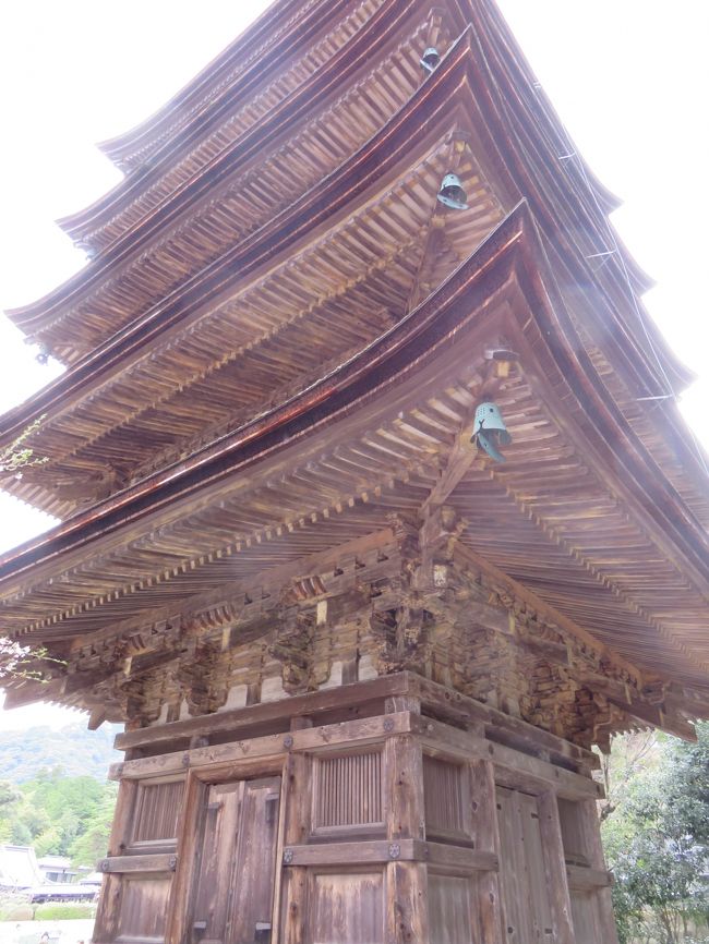SP記念‼️お城✨お寺✨桜咲く✨瑠璃光寺✨五重の塔✨SPハイグレード、ジオラマ lrg_11119178.jpg?updated_at=