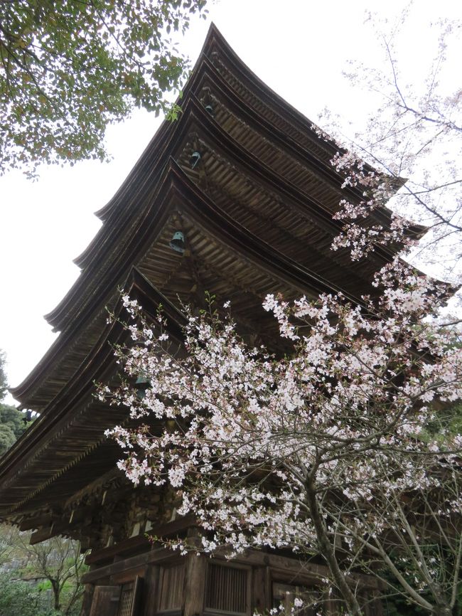 SP記念‼️お城✨お寺✨桜咲く✨瑠璃光寺✨五重の塔✨SPハイグレード、ジオラマ SP記念‼️お城✨お寺✨桜咲く✨瑠璃光寺✨五重の塔✨SPハイ