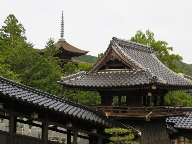 SP記念‼️お城✨お寺✨桜咲く✨瑠璃光寺✨五重の塔✨SPハイグレード、ジオラマ lrg_11119178.jpg?updated_at=