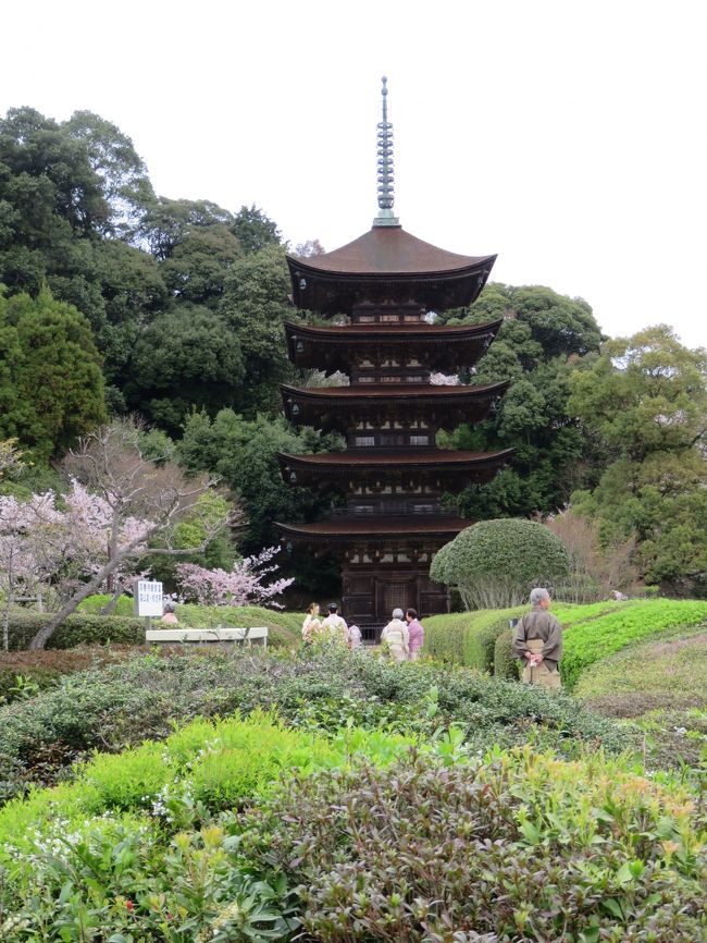 SP記念‼️お城✨お寺✨桜咲く✨瑠璃光寺✨五重の塔✨SPハイグレード、ジオラマ Visit MY Japan | There's something magical about seeing