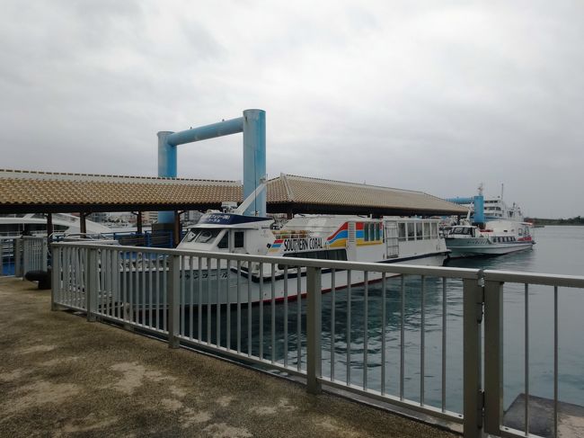 ３日目の予定の西表島・由布島観光になりました。<br />次の最終日　朝に電話があれば、また波照間に行けないと言われました…