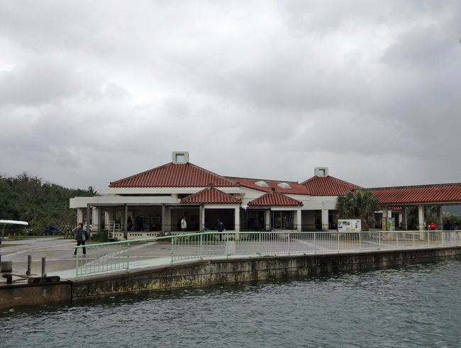 まず、仲間川マングローブクルーズに行きます。<br />でも、「マングローブ」は木の名前ではないそうです。<br />このような熱帯地域の河口の水の中に生えている木の総称なんですって〜