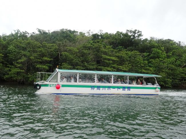 雨がやんでいるちょっとのあいだ、上げたままです。