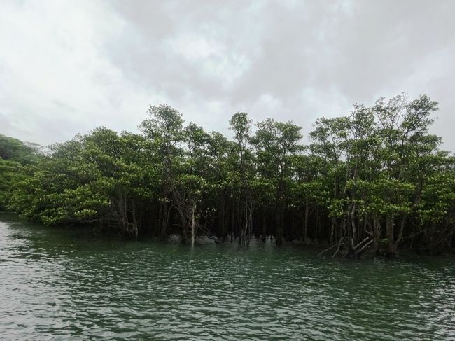 まもなく上陸です