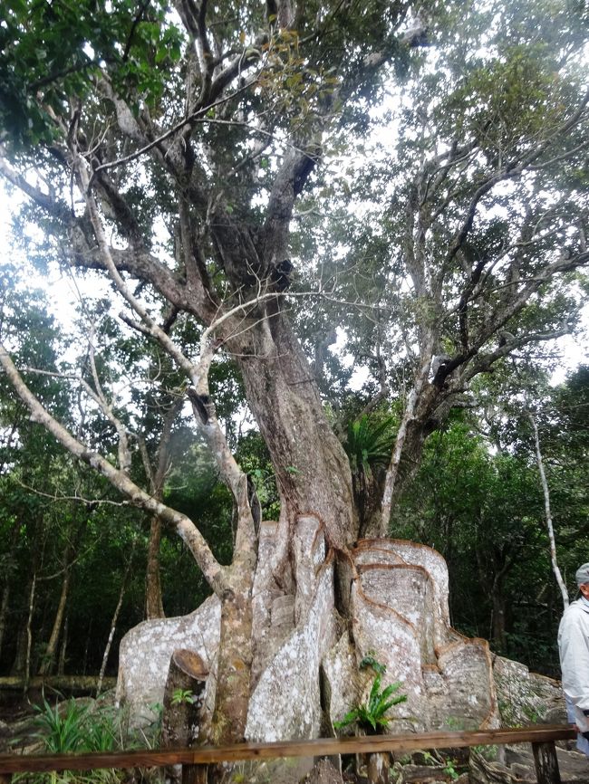 下半身安定型　どうしても、この言葉が出てきます