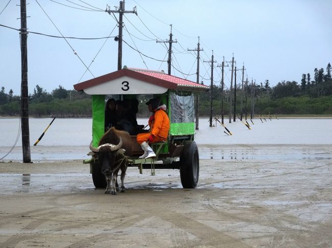 あれに乗るのかな？