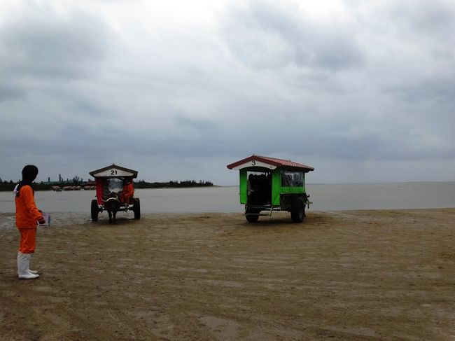 働き者の牛さん