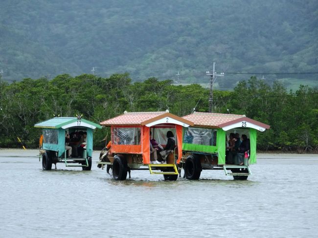 たくさんの水牛車が働いてます。