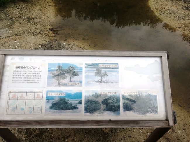 説明を読むのって、めんどくさいです…