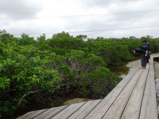 植物園を散歩します
