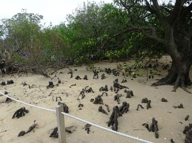 さて、下にあるのは？