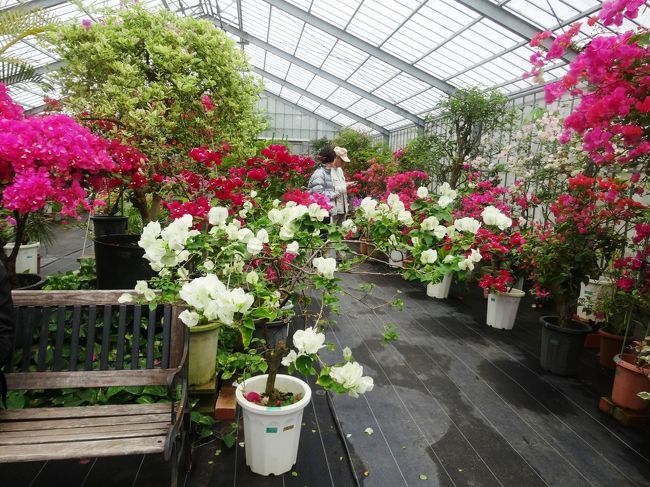 色がはっきりしてます