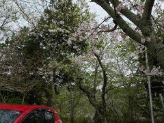 約１０分位移動して櫻井神社に