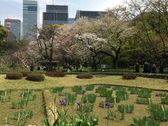 二の丸庭園。
花菖蒲の時期はまだ先だけど、手前に気の早いアヤメがもう咲いてる。